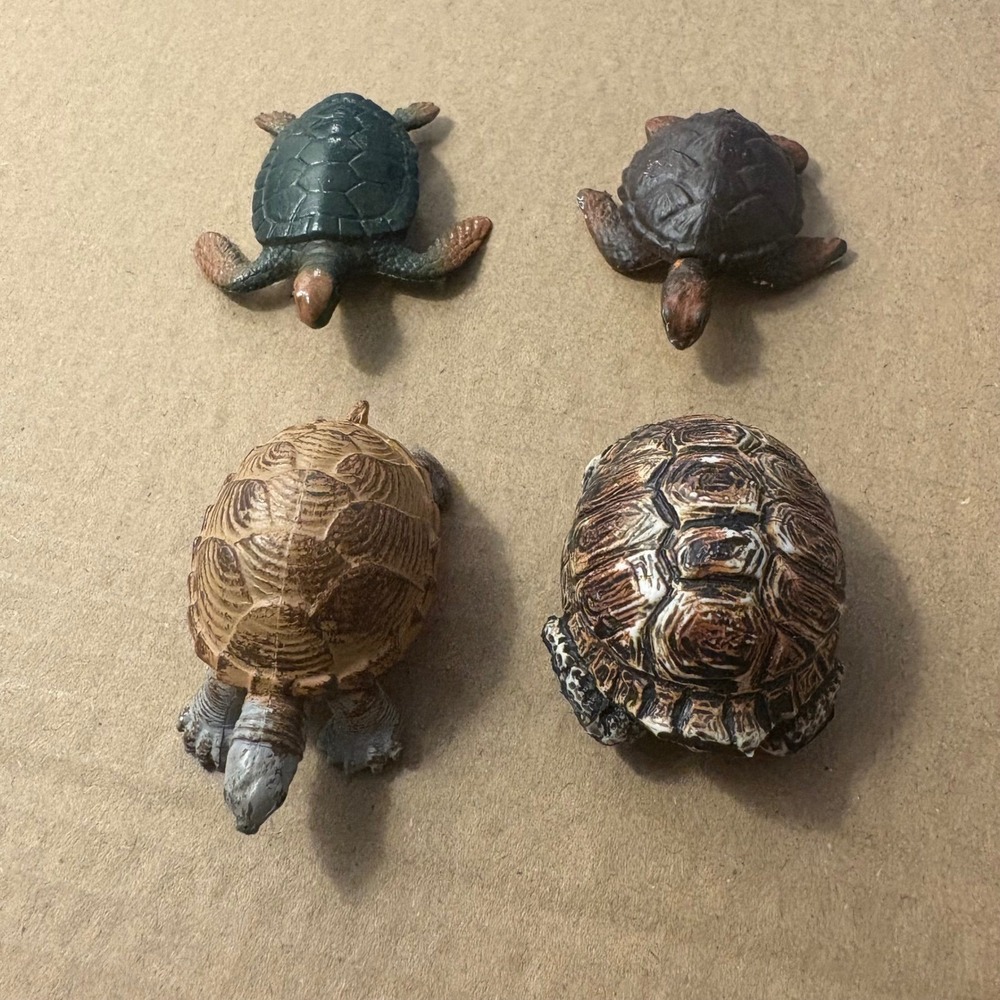 Turtle Figurines Lot Of 4 Pacific Hawksbill Loggerhead Musk Turtle